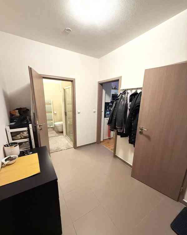 Pronájem bytu 2+kk 50 m² - foto 11