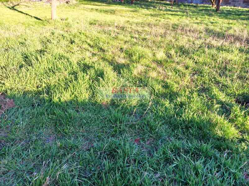 Třebíč kraj Vysočina pronájem zahrady na vesnici - foto 4