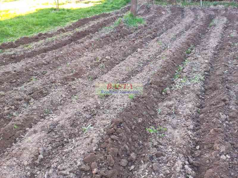 Třebíč kraj Vysočina pronájem zahrady na vesnici - foto 7