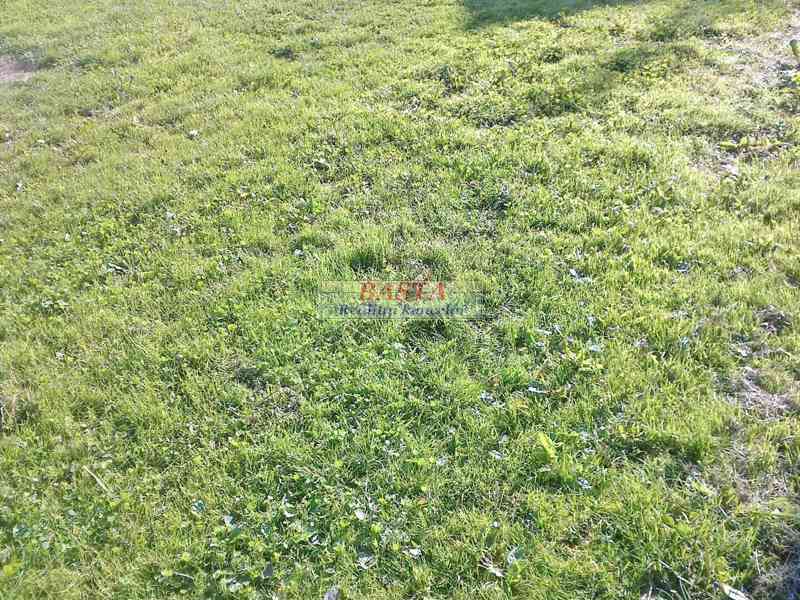 Třebíč kraj Vysočina pronájem zahrady na vesnici - foto 3