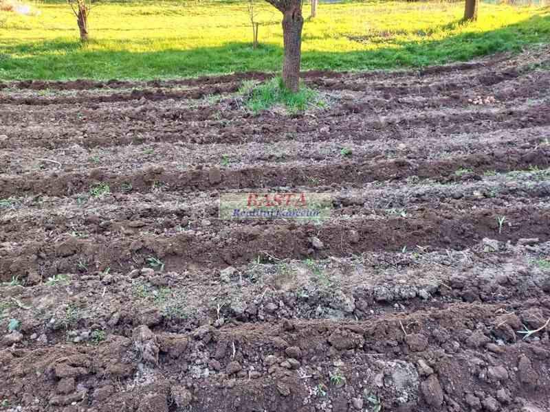 Třebíč kraj Vysočina pronájem zahrady na vesnici - foto 6