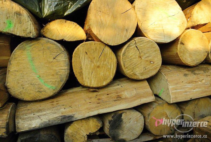 Lipové dřevo pro řezbáře - foto 3