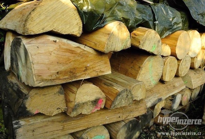 Lipové dřevo pro řezbáře - foto 4