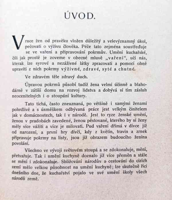 Rakousko Uhersko - kuchařská kniha z roku 1914, Domácnost - foto 11
