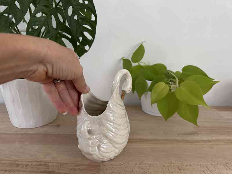 Labuť perleťová žardiéra - foto 8