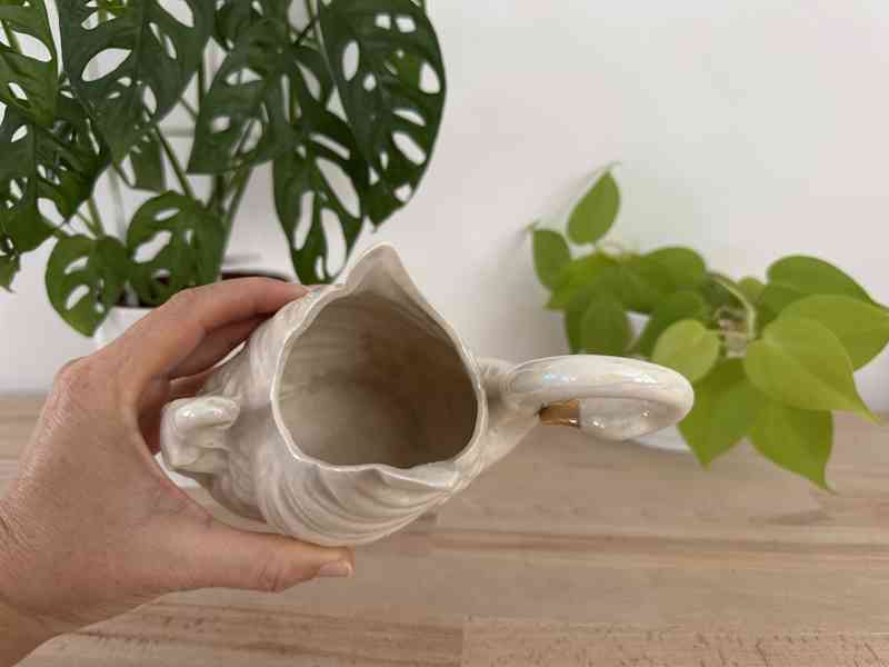 Labuť perleťová žardiéra - foto 4