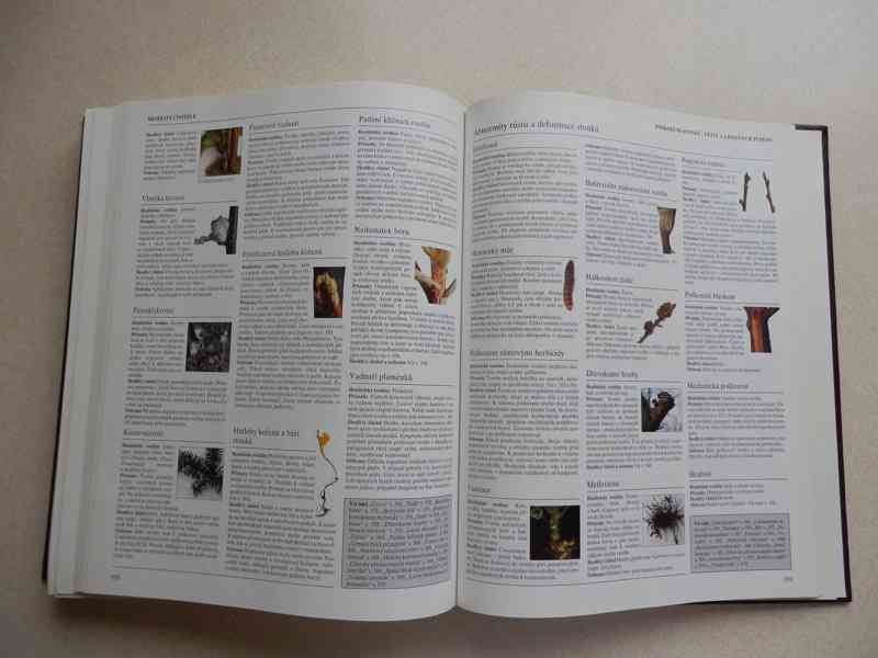 Kniha Velká zahrádkářská encyklopedie - jako nová - foto 17