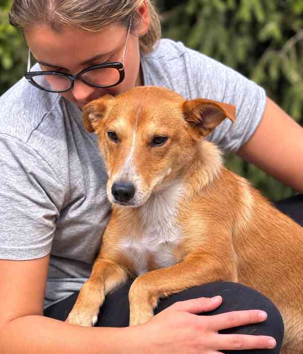 LÍZINKA - 15 kg, kastrovaná fenečka 1,5 roku  - foto 3