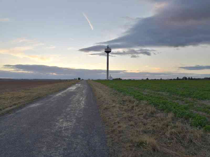 Koupím pole s větší výměrou - pouze 1/1 Hořesedly a okolí - foto 1