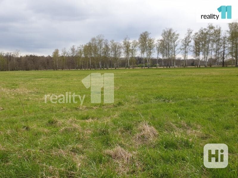 Krásný pozemek 8000m2, Hradec Králové - Malšova Lhota - foto 8