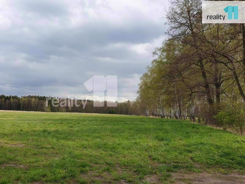 Krásný pozemek 8000m2, Hradec Králové - Malšova Lhota - foto 1