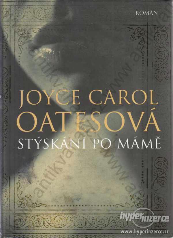 Stýskání po mámě Joyce Carol Oatesová 2007 BB Art - foto 1