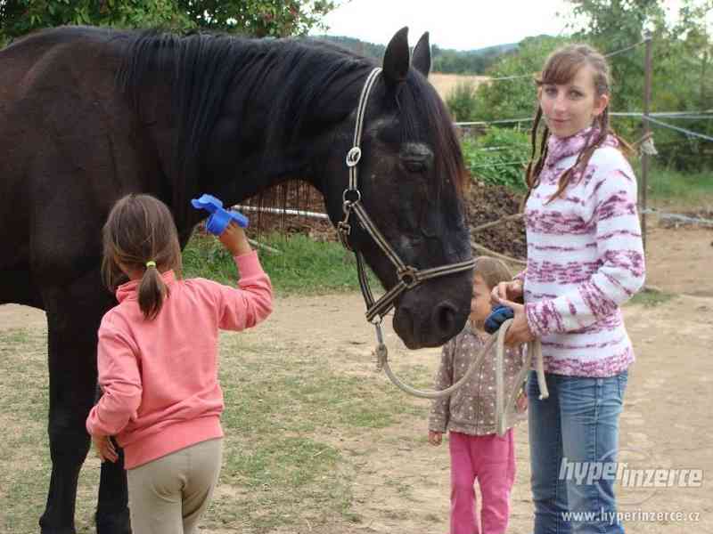 Dětský tábor u koní na Vysočině - foto 5