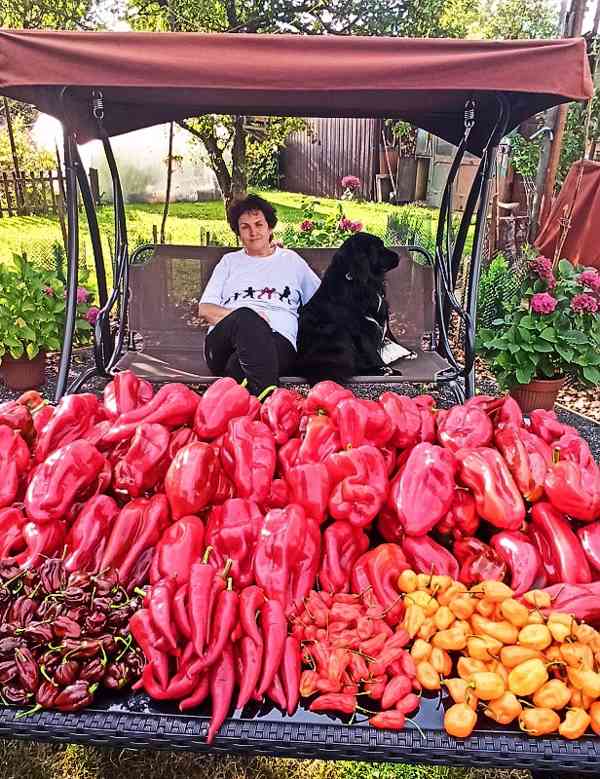 Moon River textilní květináč záhon černý 1 ks obsah 190 l - foto 3