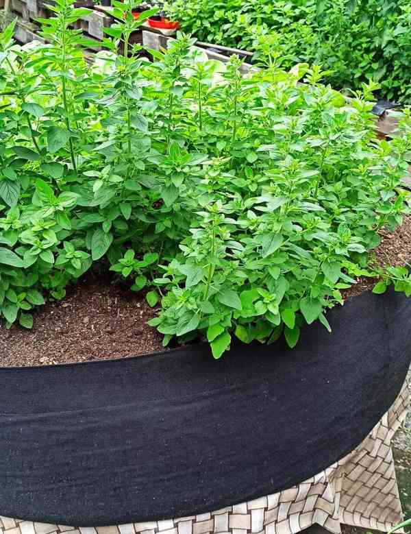 Moon River textilní květináč záhon černý 1 ks obsah 190 l - foto 4