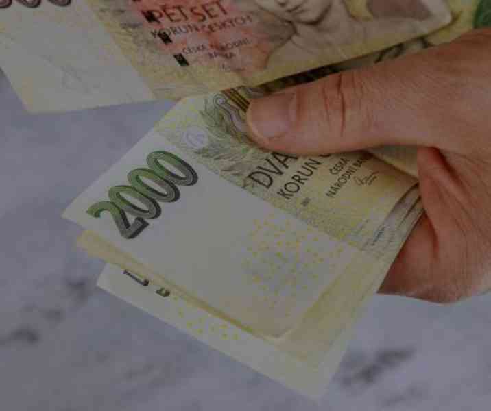 Finanční pomoc od soukromého investora