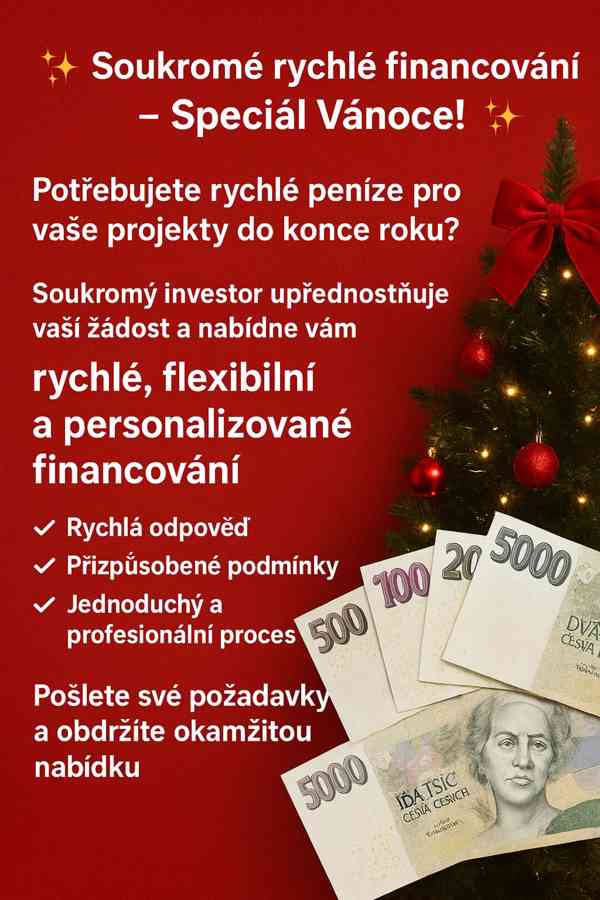 Expresní soukromé financování – vánoční speciál! 