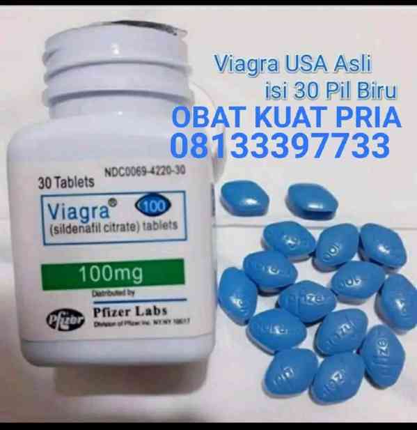 JUAL VIAGRA ASLI DI GRESIK 081333977733 COD GRESIK - foto 2
