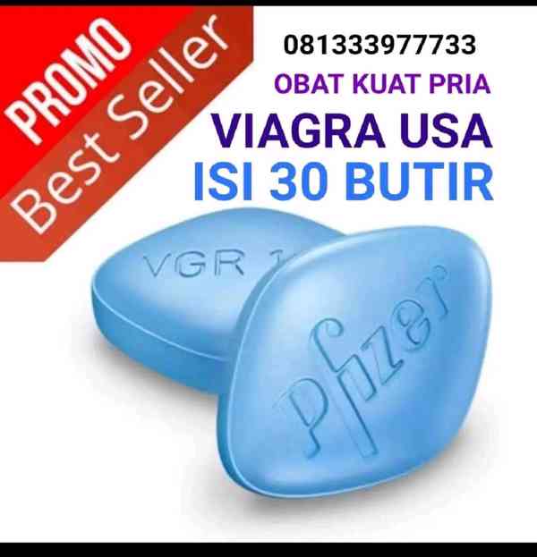 JUAL VIAGRA ASLI DI GRESIK 081333977733 COD GRESIK - foto 3