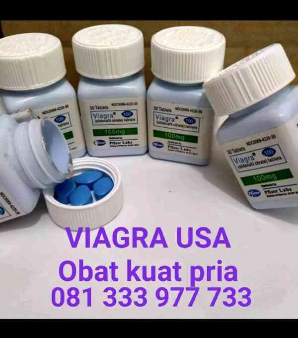 JUAL VIAGRA ASLI DI GRESIK 081333977733 COD GRESIK - foto 1