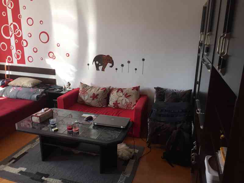 Nabízím pronájem slunného bytu s dispozicí 1+1 v Kopřivnici - foto 2