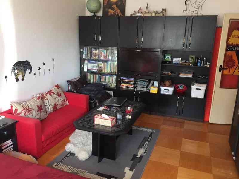 Nabízím pronájem slunného bytu s dispozicí 1+1 v Kopřivnici - foto 7