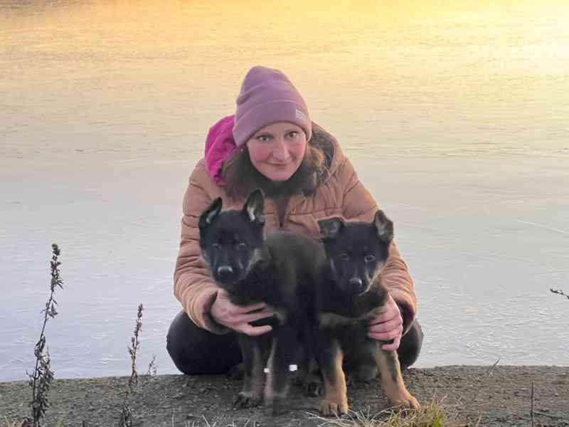 Německý ovčák - foto 14