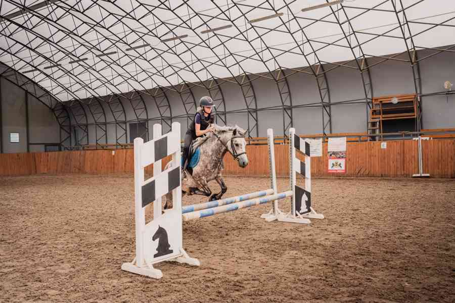 Pony valach  - foto 2