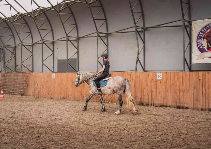 Pony valach  - foto 3