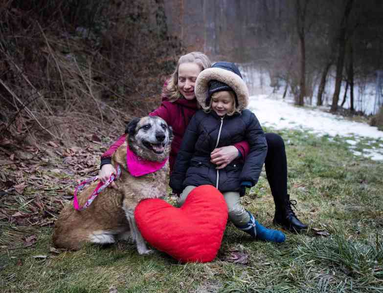 LEONKA - 25 kg, kastrovaná fenečka 10 let  - foto 4
