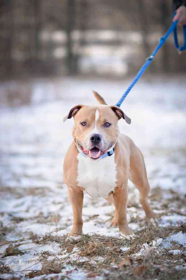 Chiro - aktivní, x bull, 3 roky  - foto 2