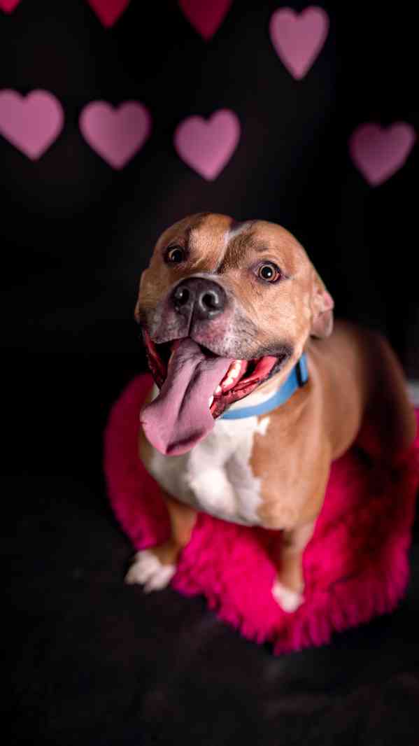 Chiro - aktivní, x bull, 3 roky  - foto 8