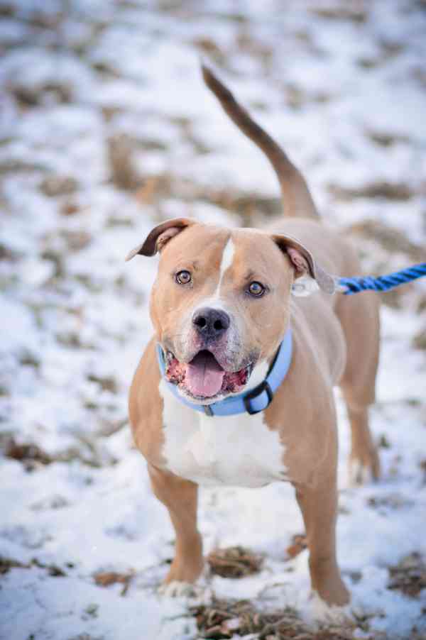 Chiro - aktivní, x bull, 3 roky  - foto 3