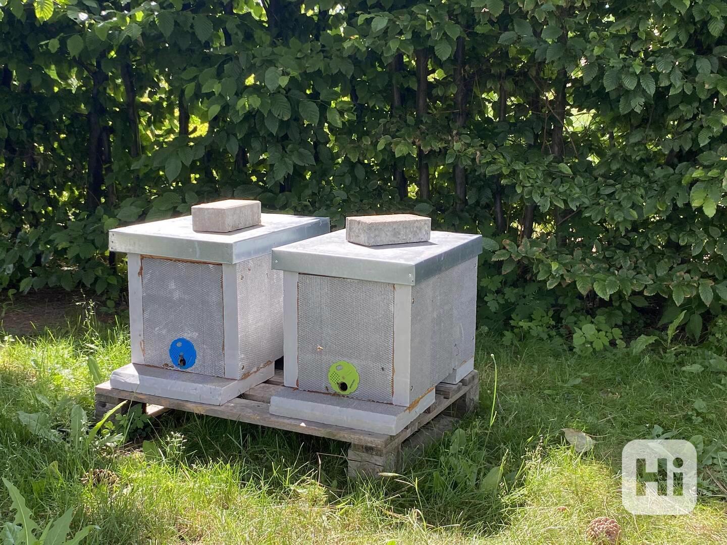 Včelí oddělky 39*24 - foto 1