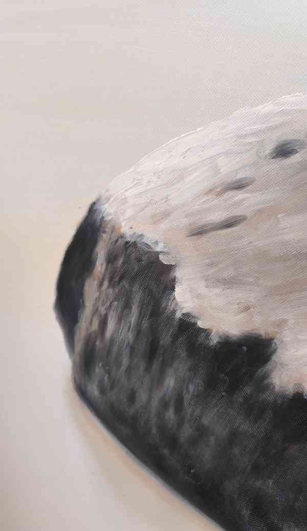 Obraz - plátno  - foto 2