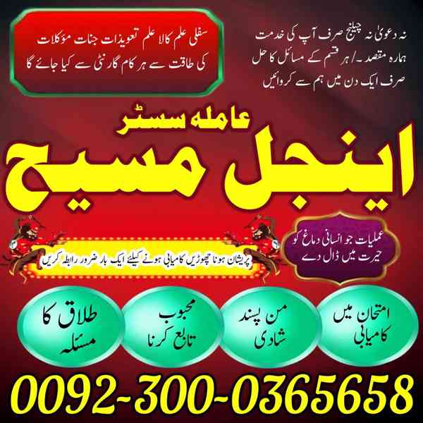 Spiritual Healer in Toronto,  Black Magic Removal Specialist - foto 7