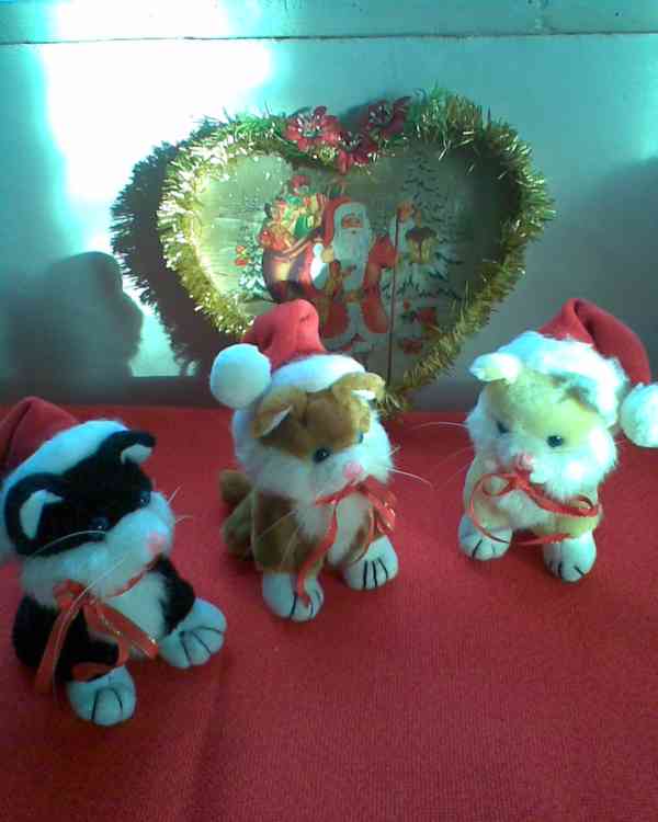 Mikulášský balíček  pro milovnici kočiček