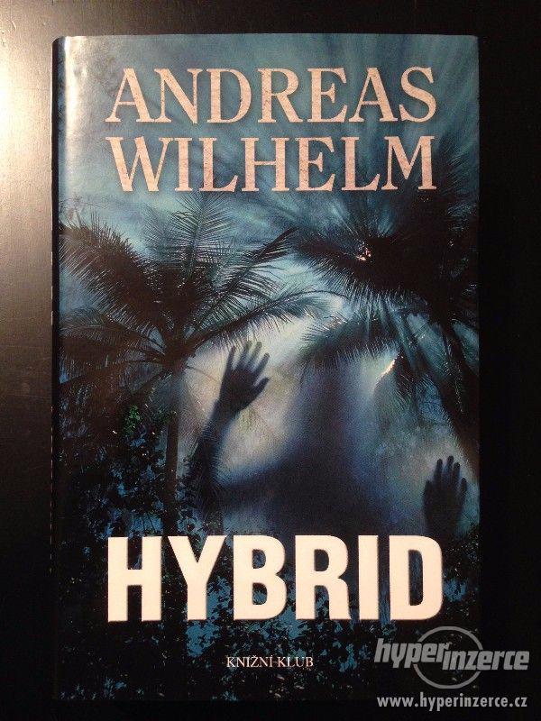 Kniha Hybrid - foto 1