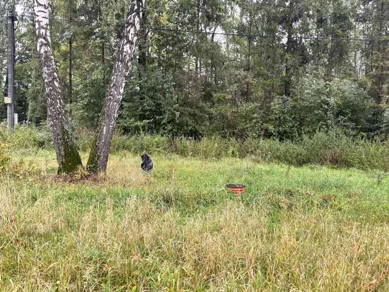 PRODEJ REKREAČNÍHO RESORTU U ŽERMANICKÉ PŘEHRADY OBEC LUČINA - foto 8