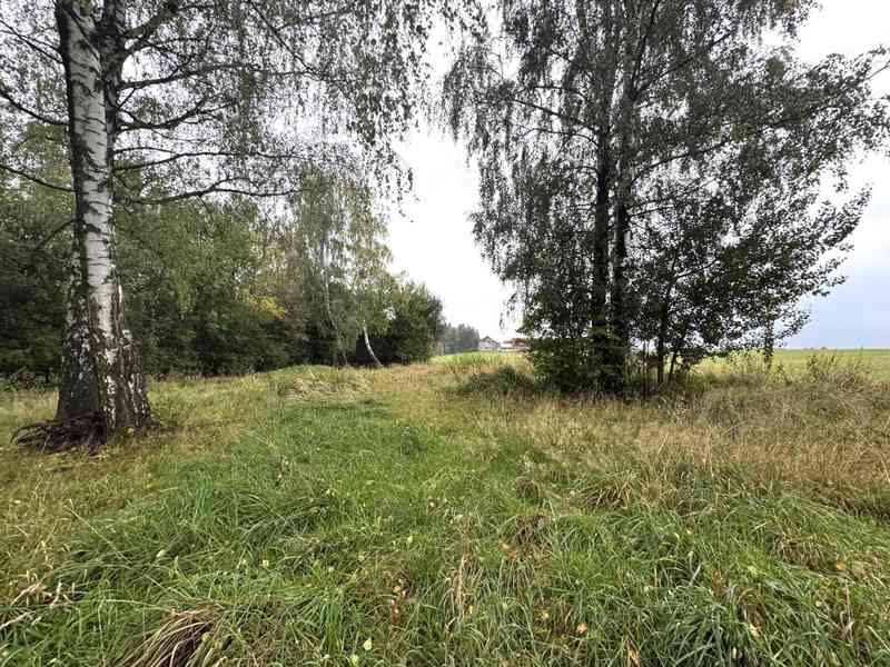 PRODEJ REKREAČNÍHO RESORTU U ŽERMANICKÉ PŘEHRADY OBEC LUČINA - foto 9