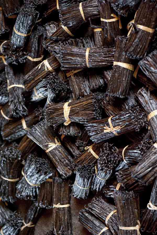 We Export Top Grades of Vanilla Beans Europe Australia USA + - foto 3