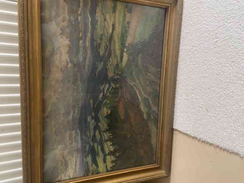 obraz-Z.NEMASTIL-ŠUMAVA - foto 3