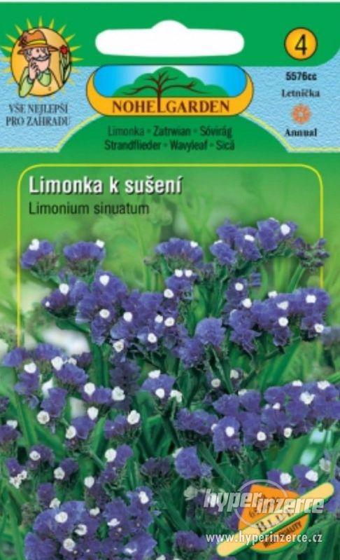 Limonka k sušení, Blue (semena) www.levna-semena.cz - foto 1