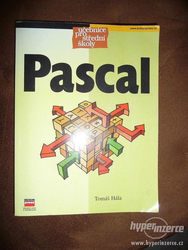 Pascal - foto 1