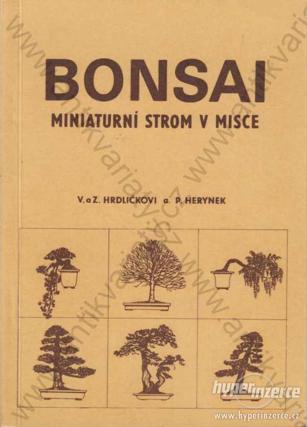 Bonsai V. a Z. Hrdličkovi a P. Herynek 1983 - foto 1