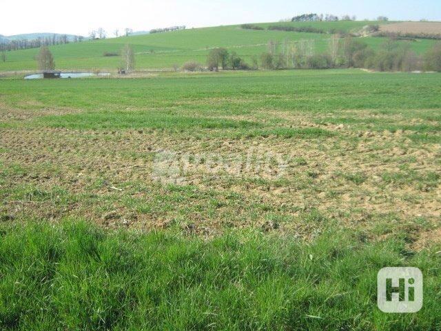 Prodej lukrativní pozemek 10.000 m2, Drachkov, okres Benešov - foto 5