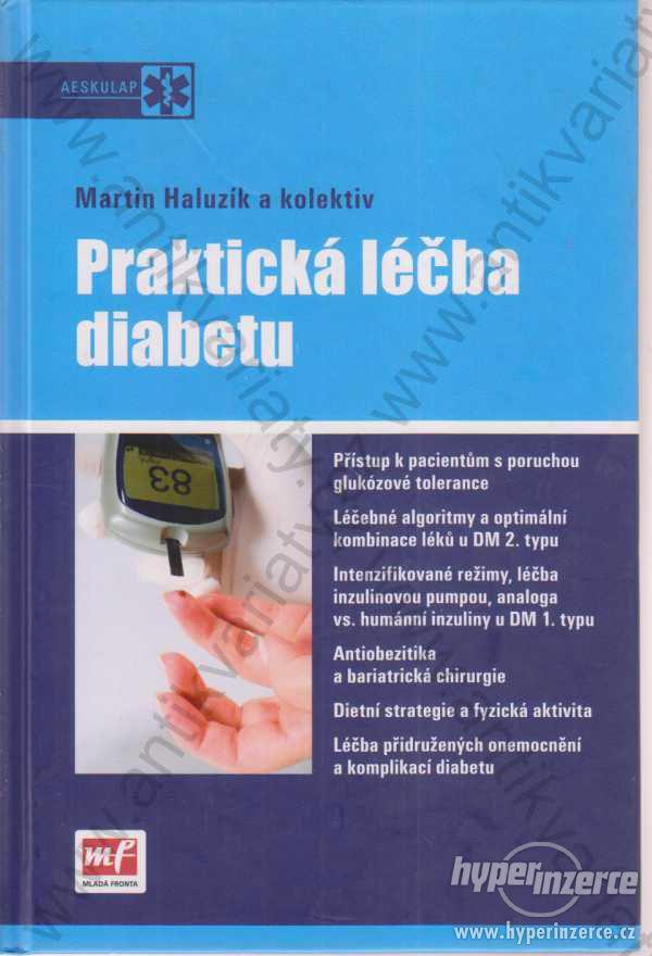 Praktická léčba diabetu Martin Haluzík 2009 - foto 1