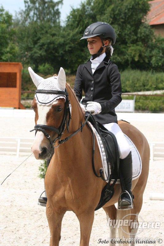 Vyjímečný sportovní pony kat. A na prodej - foto 1