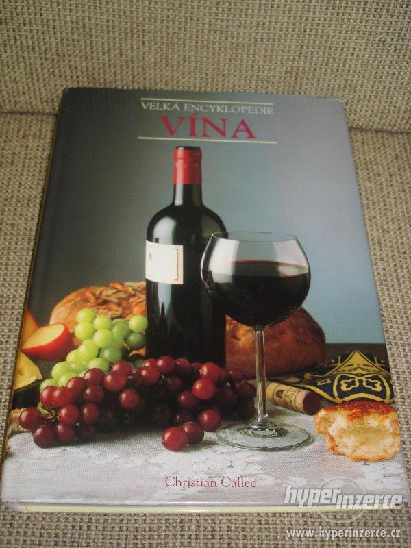 Velká encyklopedie vína - super kniha pro vinaře a sommelier - foto 1