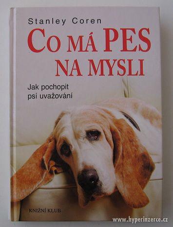 NOVÁ KNIHA: Co má pes na mysli - Stanley Coren - foto 1